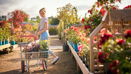 Woman With Trolley Outdoors In Garden Centre Choosing Plants And Buying Rose - obrazy, fototapety, plakaty