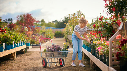 Woman With Trolley Outdoors In Garden Centre Choosing Plants And Buying Rose