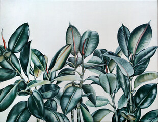 Green ficus leafs on white background painting