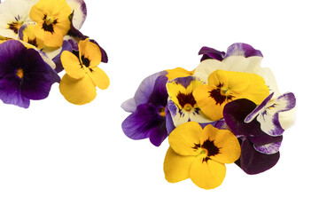 Purple and yellow edible flowers isolated on white background.