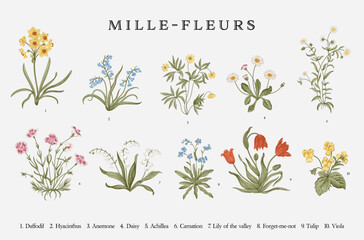 Millefleurs. Set. Vintage vector botanical illustration. - obrazy, fototapety, plakaty