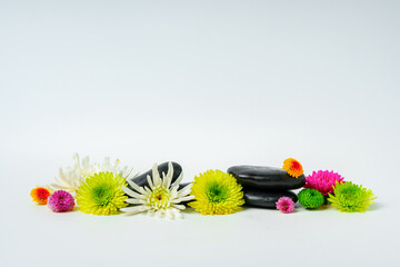 Spa stones and flowers on the white background
