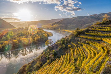 Panorama of Wachau valley (UNESCO) with autumn vineyards against Danube river near the Durnstein...