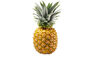 Yellow Color Gorgeous Pineapple on White or PNG Transparent Background.