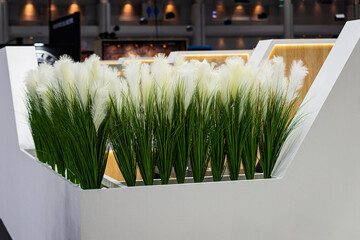 Green grass in a pot in the interior