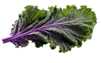Poster Stunning Sweet Purple Kale Leaf on White or PNG Transparent Background. © Muhammad