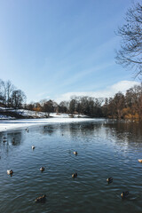 landscape with lake in frozen spring in oslo norway with many seagulls and water birds