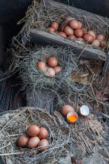 Organic  Eggs Fresh farm eggs on a wooden rustic background
