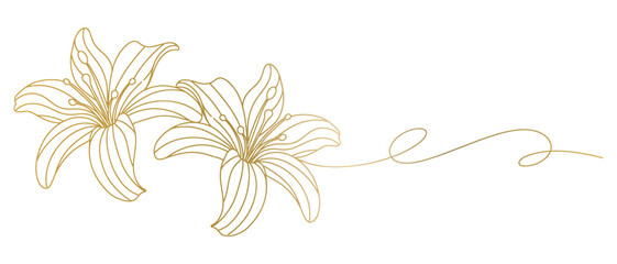 Spring flower line art style vector with transparent background 