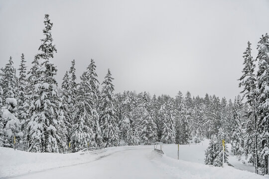 Lenzerheide, Valbella, Bergstrasse, Schneedecke, Heidsee, Winterwanderung, Langlauf, Winterlandschaft, Alpen, Wald,  Winter, Schnee, Schneefall, Gefahr, Graub&uuml;nden, Schweiz