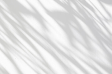 Abstract natural tree leaves shadow on white wall background