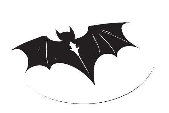 black texture of bat on white background, vector image overlay monochrome background texture