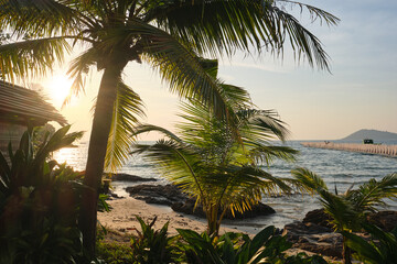 palm trees at sunset in ko samet - obrazy, fototapety, plakaty