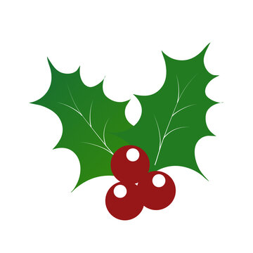 christmas holly berry