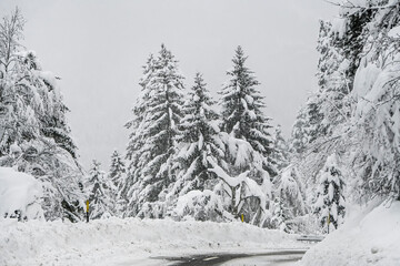 Obraz premium Lenzerheide, Valbella, Bergstrasse, Schneedecke, Lantsch, Lenz, Tiefencastel, Albula, Winterlandschaft, Alpen, Wald, Winter, Schnee, Schneefall, Gefahr, Graubünden, Schweiz