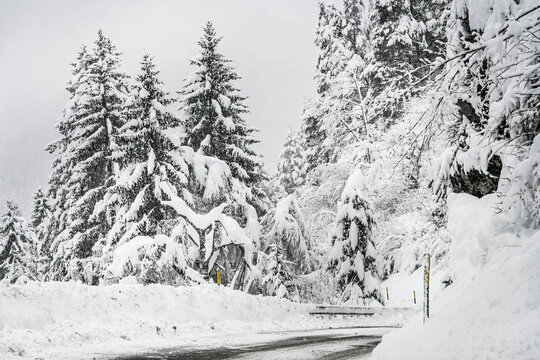 Lenzerheide, Valbella, Bergstrasse, Schneedecke, Lantsch, Lenz, Tiefencastel, Albula, Winterlandschaft, Alpen, Wald, Winter, Schnee, Schneefall, Gefahr, Graub&uuml;nden, Schweiz