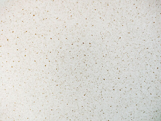 Terrazzo surface and texture. Suitable for background.