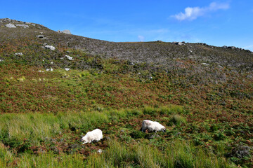 county of Donegal, Ireland - september 15 2022 : Slieve League