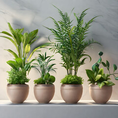 plants in pots at wall background realistic houseplants potted in flowerpots in row