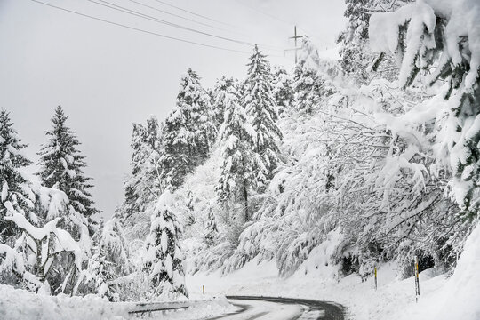 Lenzerheide, Valbella, Bergstrasse, Schneedecke, Lantsch, Lenz, Tiefencastel, Albula, Winterlandschaft, Alpen, Wald, Winter, Schnee, Schneefall, Gefahr, Graub&uuml;nden, Schweiz