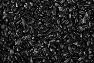Top view of a lot of black roasted sunflower seeds. - obrazy, fototapety, plakaty