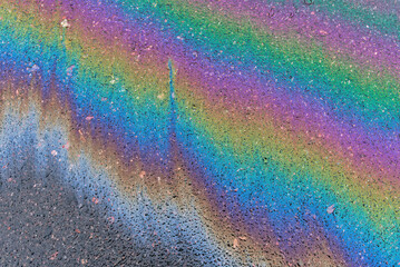 rainbow stripes on wet asphalt after fuel spill from car.