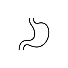 Stomach line icon isolated on white background