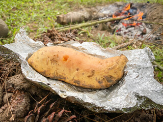 Ubi Cilembu. Pile of Fresh baked sweet potato laid on aluminum foil during weekend camping outdoor...