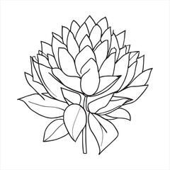 Lotus flower line art with drawings isolated on a white background. vector Lotus flower and leaves line art.