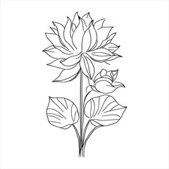 Lotus flower line art with drawings isolated on a white background. vector Lotus flower and leaves line art.