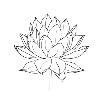 recommend clip art: Lotus flower line art with drawings isolated on a white background. vector Lotus flower and leaves line art.