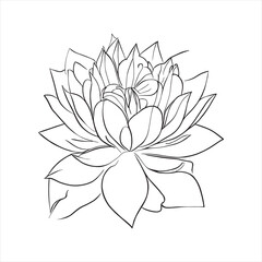 Lotus flower line art with drawings isolated on a white background. vector Lotus flower and leaves line art.