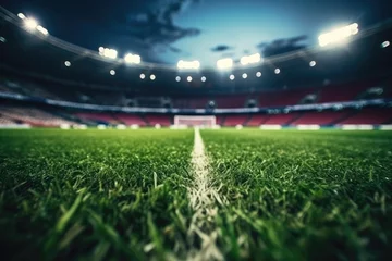 Fotobehang Grass field on the stadium © Tixel