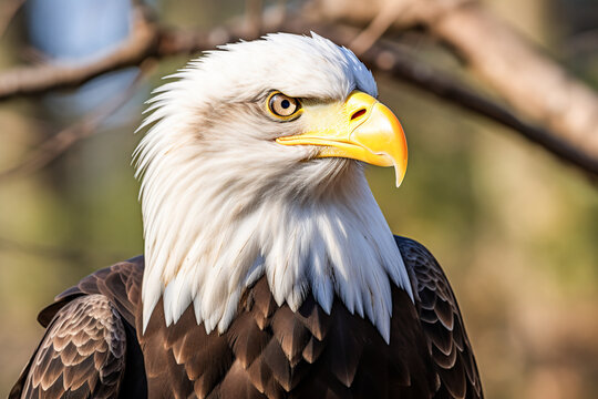 Generative AI image of a majestic bald eagle in profile