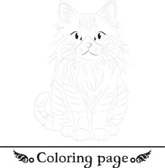 Cat | kitty | kitten |  puppy