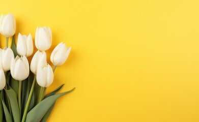 Colorful fresh spring tulip flowers border in a row on a yellow background