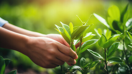 Close-up of a person's hand gently holding a green plant, showcasing the leaves and the care involved in gardening.