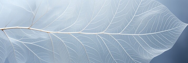 Botanical masterpiece delicate white leaf on light blue backdrop with enchanting bokeh