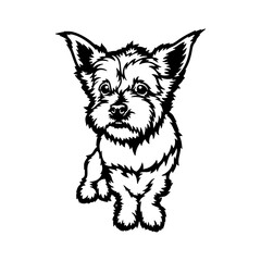 Funny West Highland White Terrier - Dog Breed, Funny dog Vector File, detailed vector