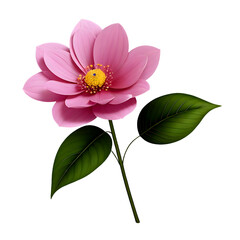Pink lotus flower with green leaves on the branch on a white background