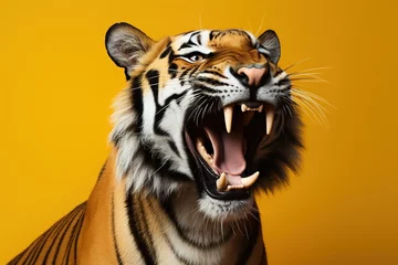 Fototapeten portrait of a roaring tiger on an yellow background © Маргарита Вайс