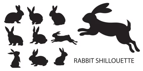 Foto op Aluminium silhouette of rabbit vector © Kim