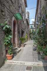 lush vegetation in narrow lane at medieval hilltop village, Pitigliano, Italy - obrazy, fototapety, plakaty