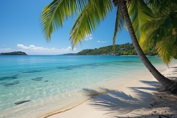 A beautiful beach with a single palm tree standing tall against the clear blue water.