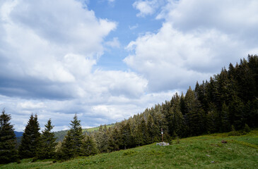Fototapeta na wymiar Beautiful mountain landscape with green forest. Carpathians, Ukraine.