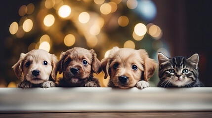 A cats and a dogs peeking out from behind a wooden board. Cute puppies and kittens with a defocused...