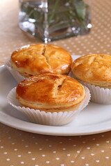 delicious baked chicken pies on plate, classic brazilian snack