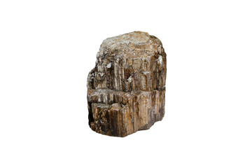 Vertical sample raw of quartz schist rock stone in Cambrian Period isolated on white background.