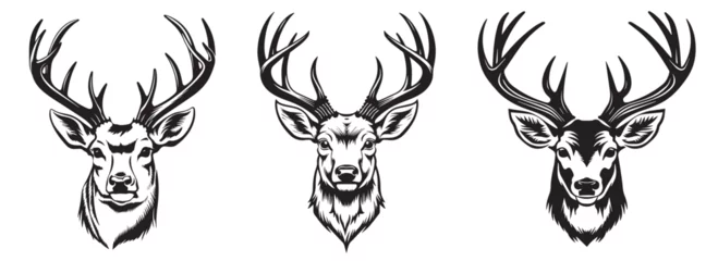 Poster Set of deer heads with horns, black and white heads of forest animals, decoration of room, home, wall vector illustration © Cris