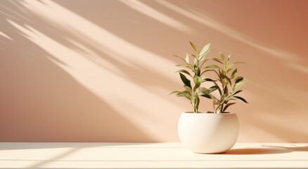 white white plant sitting on a table